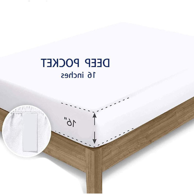 Shuda Microfiber Fitted Sheet Wayfair Canada